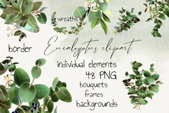 Download Eucalyptus Clipart Set PNG - Clipart set Collection